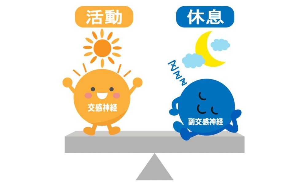 自律神経　交感神経と副交感神経がシーソーに乗っているイラスト