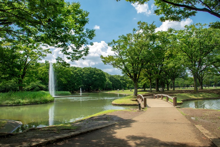 代々木公園のリラックスした風景 噴水