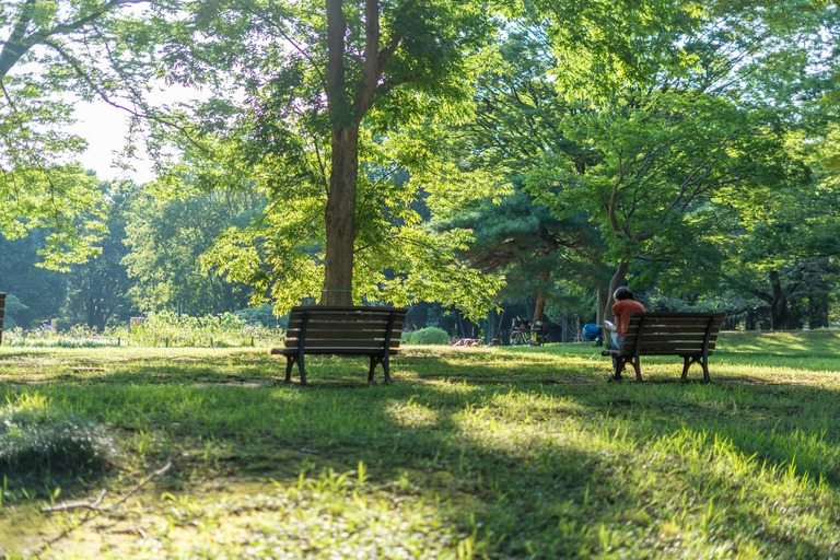 代々木公園のリラックスした風景