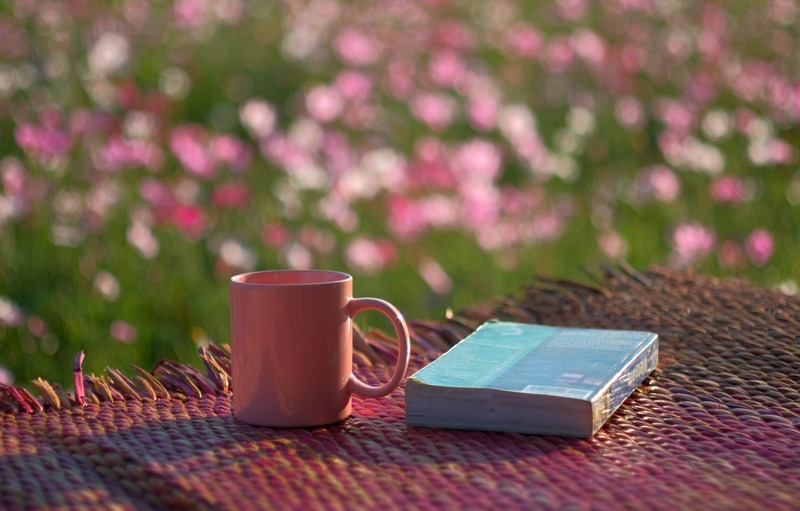 秋の花コスモスと本とマグカップ　秋の読書イメージ